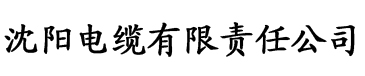 亚洲av精品一区二区三区四区电缆厂logo